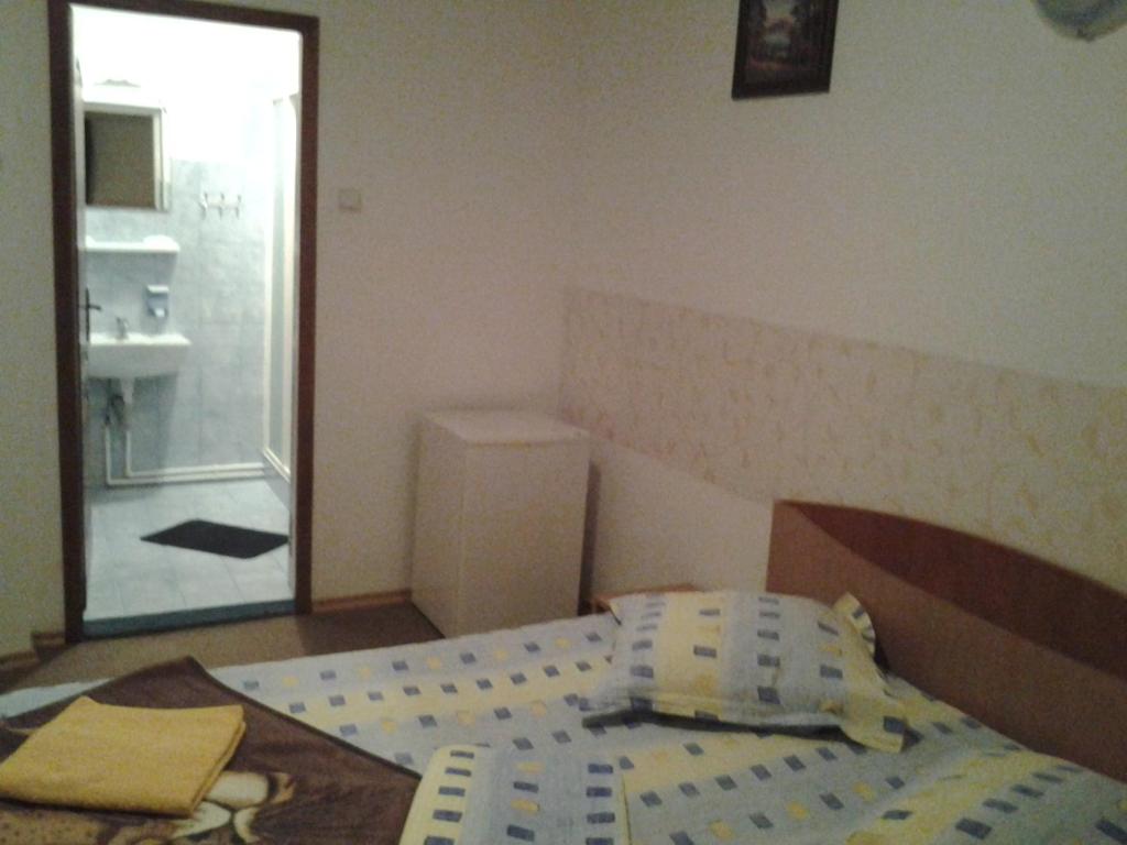 Двухместный (Двухместный номер с 1 кроватью или 2 отдельными кроватями) отеля Pensiunea Raffael, Отопени
