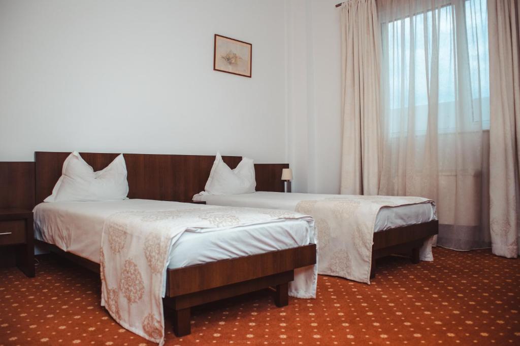 Двухместный (Двухместный номер с 2 отдельными кроватями) отеля Celly Hotel, Питешти