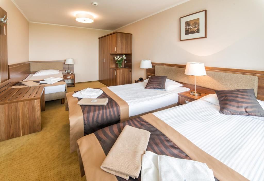 Двухместный (Двухместный номер Делюкс с 1 кроватью и дополнительной кроватью) отеля Hotel Polanica Resort & Spa, Поляница-Здруй