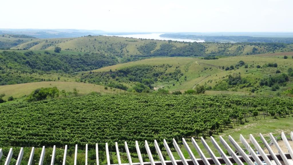 Апартаменты (Апартаменты в пентхаусе с террасой), Seven Generations Winery Hotel and Spa