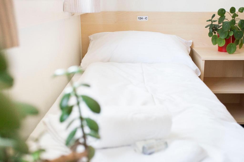 Двухместный (Двухместный номер с 2 отдельными кроватями и собственной ванной комнатой) хостела myNext - Summer Hostel Salzburg, Зальцбург