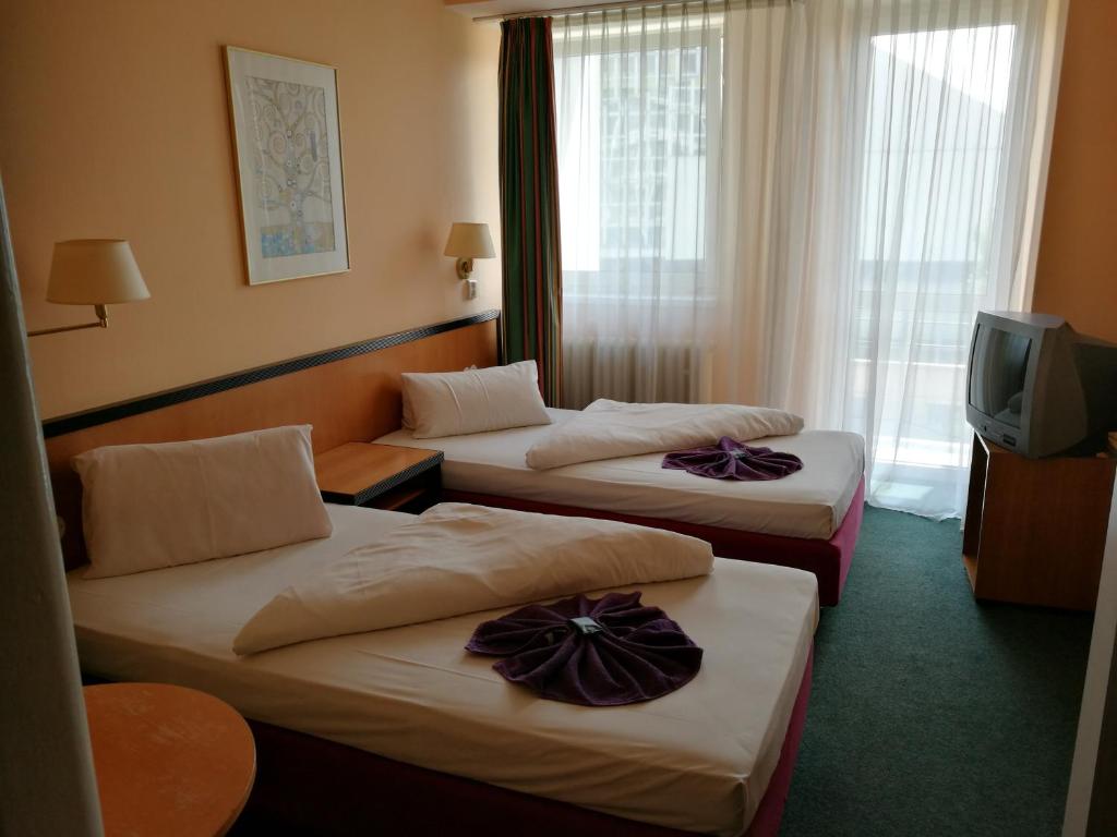 Двухместный (Двухместный номер с 1 кроватью или 2 отдельными кроватями и балконом) отеля Hotel Gerlach, Попрад