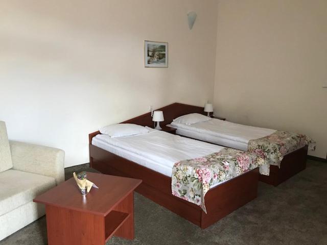 Двухместный (Двухместный номер с 2 отдельными кроватями) отеля Dafovska Hotel, Пампорово