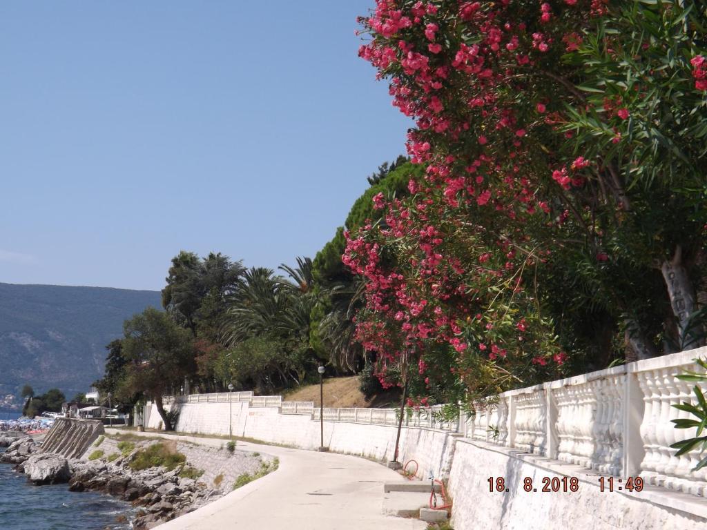 Номер (Дом с 2 спальнями), Holiday Home Herceg Novi Zelenika