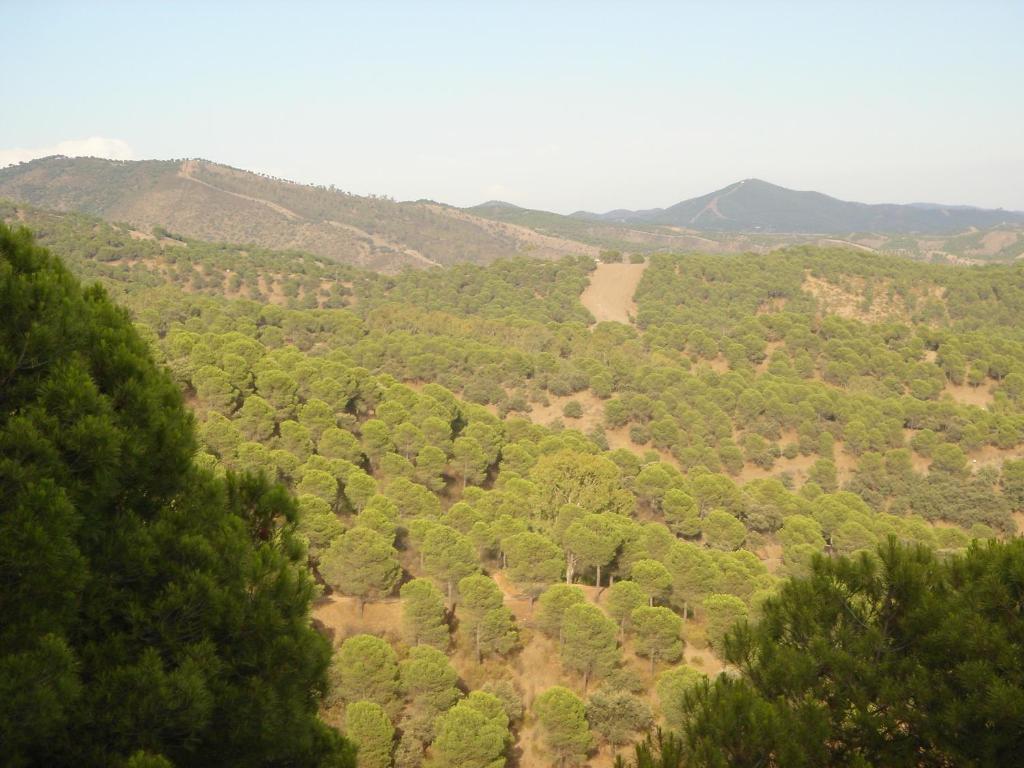 Апартаменты (Апартаменты с видом на горы), Cortijo Molino San Juan