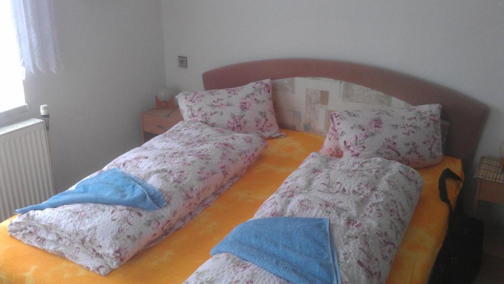 Двухместный (Двухместный номер с 1 кроватью или 2 отдельными кроватями) гостевого дома Penzion U Antonickova Pramene, Марианские Лазне
