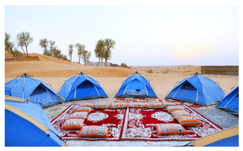 Номер (Шатер) кемпинга Bedouin Oasis Camp, Дубай