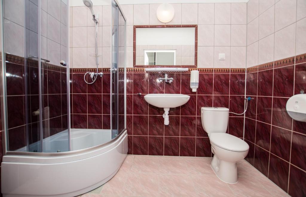 Двухместный (Двухместный номер с 1 кроватью и собственной ванной комнатой) отеля Hotel Karkonosze, Еленя-Гура