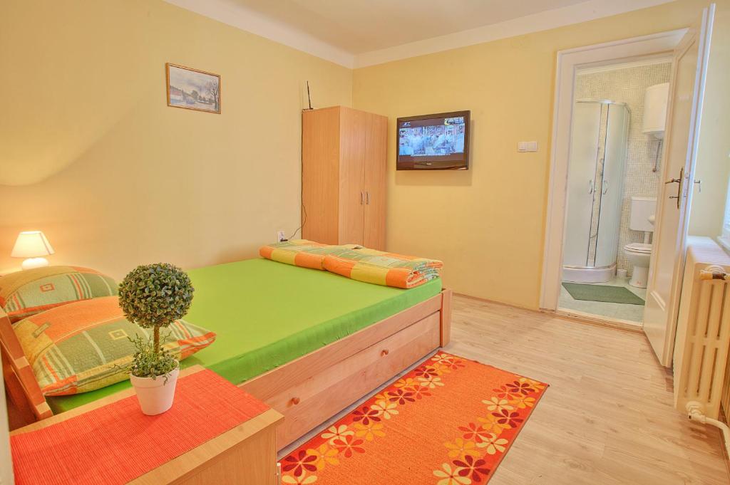 Одноместный (Одноместный номер с ванной комнатой) хостела City Hostel, Нови-Сад