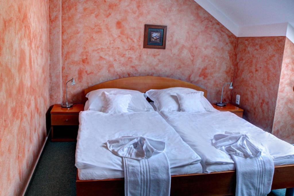 Двухместный (Двухместный номер с 1 кроватью и собственной ванной комнатой) гостевого дома BIRDIE Pension & Wellness, Пардубице