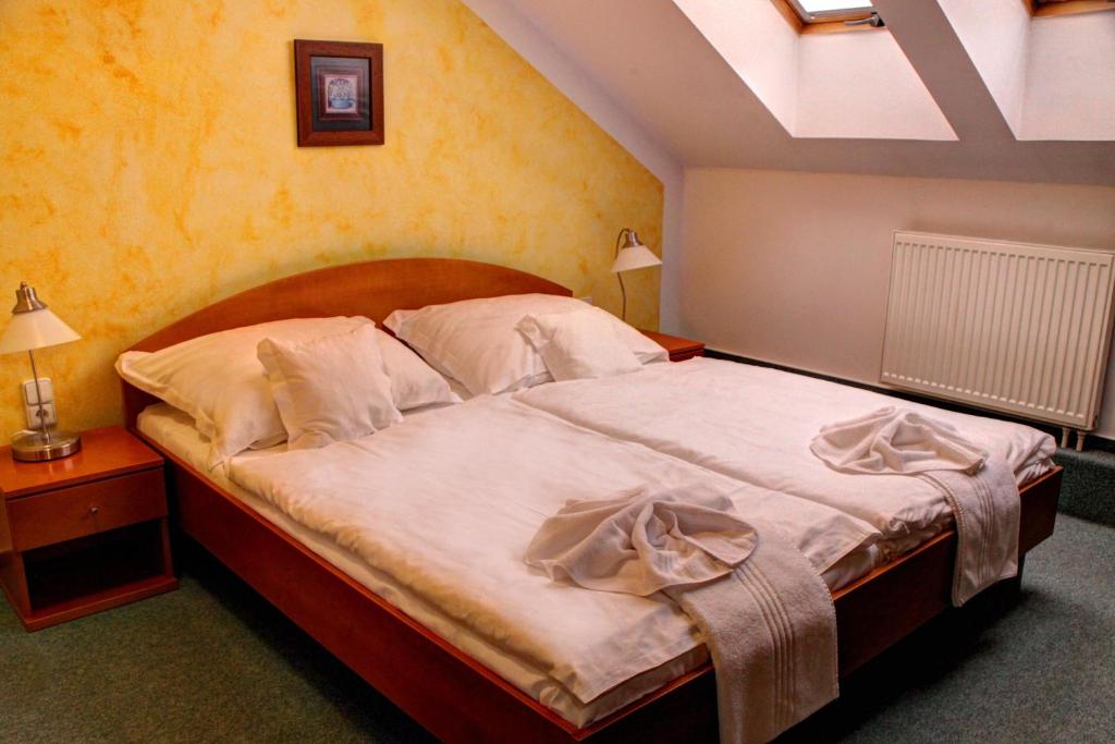 Двухместный (Двухместный номер с 1 кроватью и собственной ванной комнатой) гостевого дома BIRDIE Pension & Wellness, Пардубице