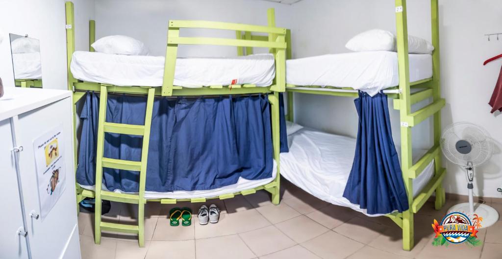 Номер (Кровать в общем 4-местном номере для мужчин и женщин) хостела Pura Vida Las Palmas, Лас-Пальмас-де-Гран-Канария