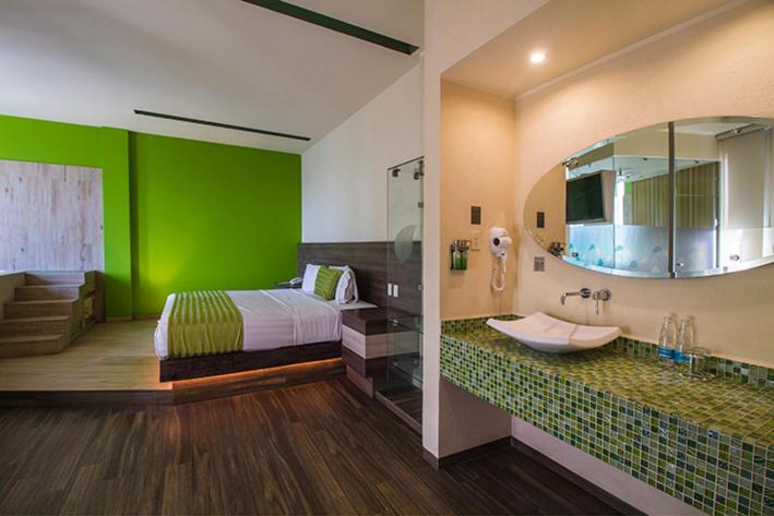 Двухместный (Двухместный номер с 1 кроватью и гидромассажной ванной) отеля Hotel y Villas Natura, Мехико