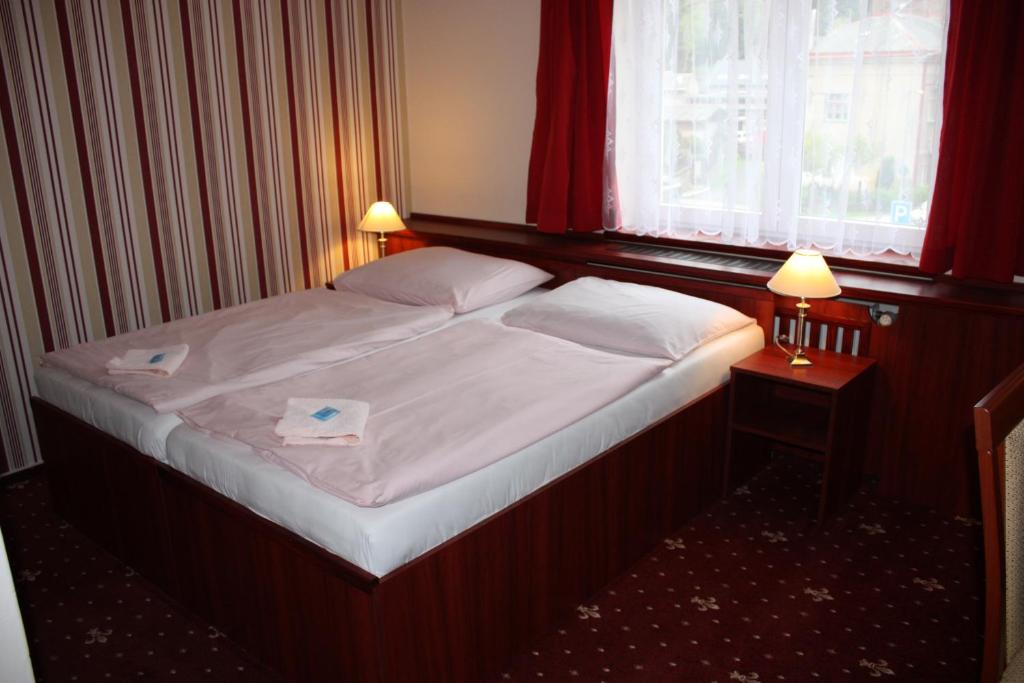 Двухместный (Двухместный номер с 1 кроватью или 2 отдельными кроватями) отеля Hynek, Наход