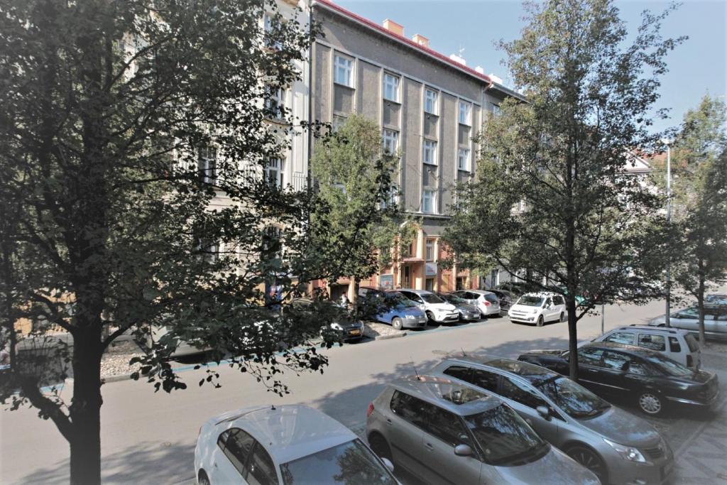 Апартаменты (Двухуровневые апартаменты), City Castle Aparthotel