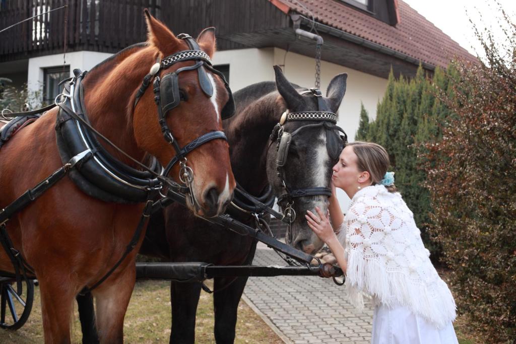 Номер (Коттедж с 6 спальнями), Conifer Cottage IdyllicPrague