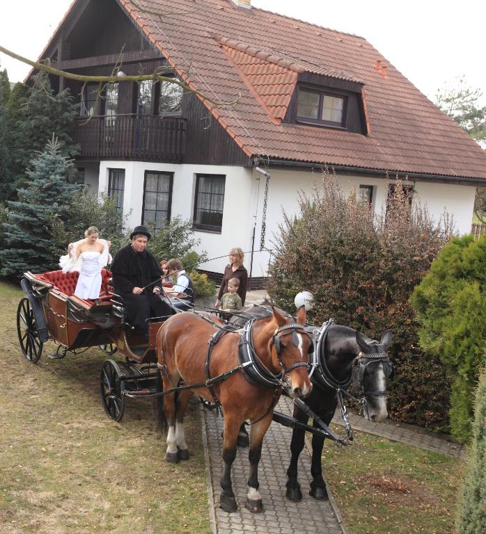 Номер (Коттедж с 6 спальнями), Conifer Cottage IdyllicPrague