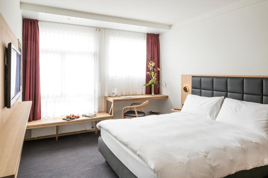 Двухместный (Double Room-MODERN), Hotel Basel