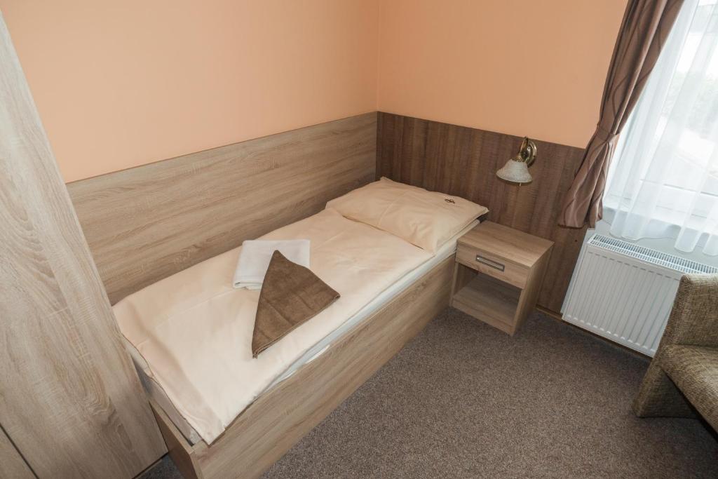 Одноместный (Одноместный номер с ванной комнатой) гостевого дома Penzion Eduard, Франтишковы-Лазне