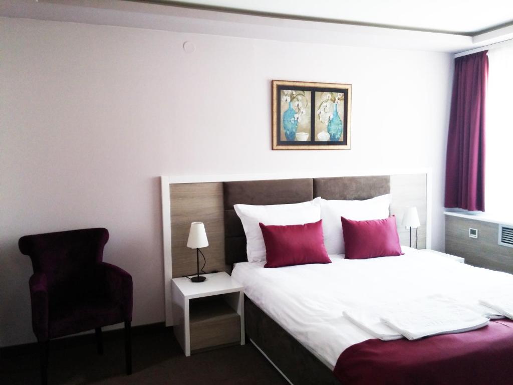 Двухместный (Двухместный номер с 1 кроватью - Подходит для гостей с ограниченными физическими возможностями) отеля Hotel Ana Lux Spa, Пирот