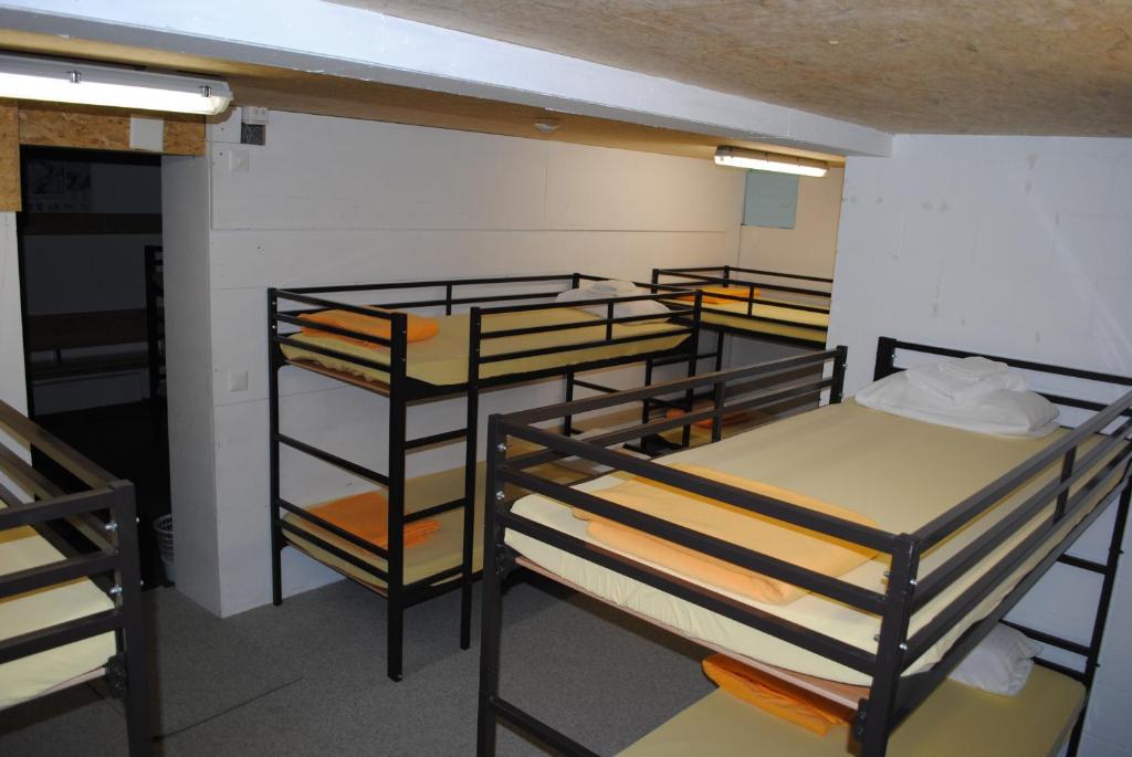 Номер (Односпальная кровать в общем номере для мужчин и женщин) отеля Hotel Des Alpes, Кандерштег