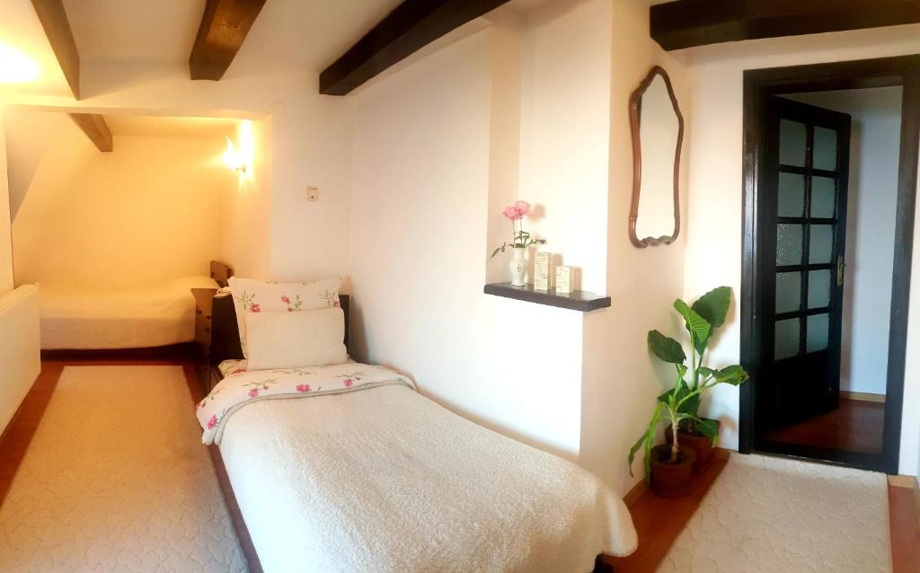 Двухместный (Двухместный номер с 2 отдельными кроватями) гостевого дома Pension Casa Aurora, Гура-Гуморулуй