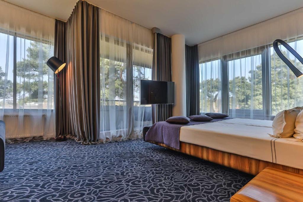Двухместный (Двухместный номер Делюкс с 1 кроватью и доступом в спа-центр - Здание Design) отеля Palanga Spa Design Hotel, Паланга
