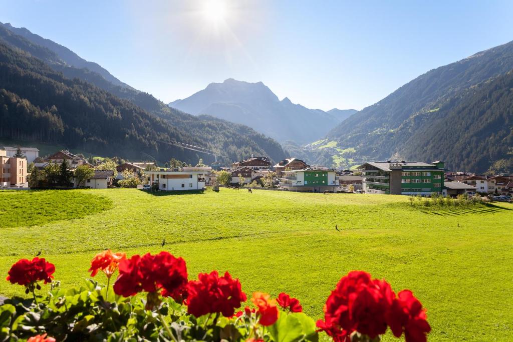 Студио (Номер-студио (для 2 взрослых)), Apparthotel König