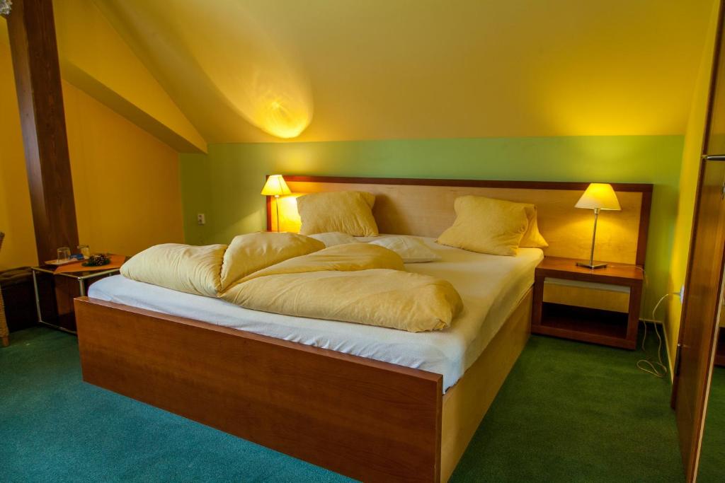 Двухместный (Стандартный двухместный номер с 1 кроватью), Penzion u Pejtrika