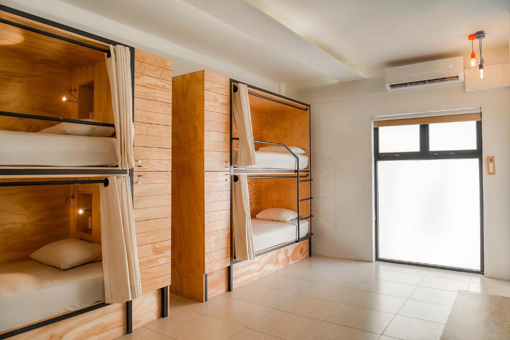 Номер (Кровать в общем 8-местном номере для мужчин и женщин) хостела Mayan Monkey Cancún Hostel, Канкун