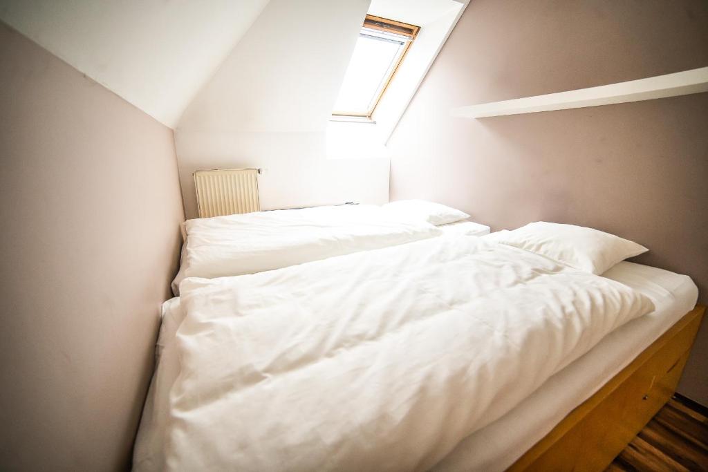 Двухместный (Двухместный номер с 1 кроватью, собственной ванной комнатой с душем и общим внешним туалетом) хостела Sleep&Go, Прага