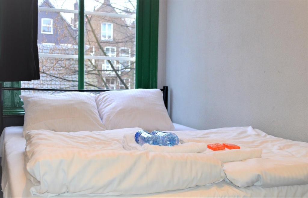 Двухместный (Двухместный номер с 1 кроватью и собственной ванной комнатой) хостела The Flying Pig Uptown, Амстердам