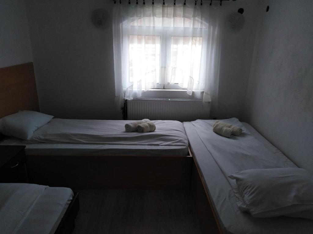 Четырехместный (Классический четырехместный номер) хостела hostel Sunce, Димитровград