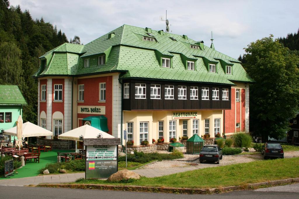 Двухместный (Двухместный номер Делюкс с 1 кроватью и душем) отеля Hořec, Пец под Снежкой