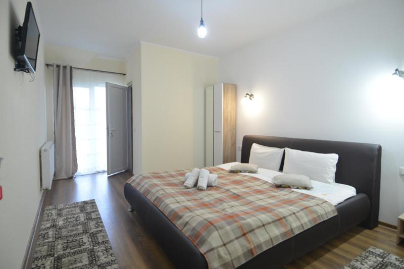 Двухместный (Двухместный номер с 1 кроватью) гостевого дома Pensiunea Doli, Сигету-Мармацией