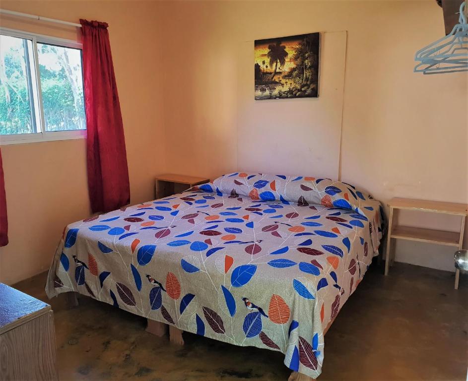 Двухместный (Бюджетный двухместный номер с 1 кроватью и общей ванной комнатой) гостевого дома Gipsy Ranch Rooms, Кабарете