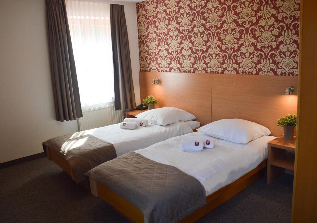 Двухместный (Двухместный номер с 1 кроватью) отеля Hotel Fero Lux, Корбелюв