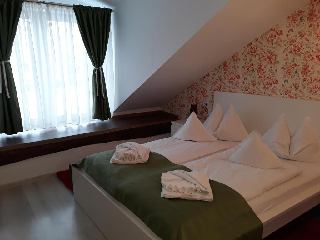 Двухместный (Двухместный номер с 1 кроватью) гостевого дома Pensiunea Casa Rusu, Бая-Маре