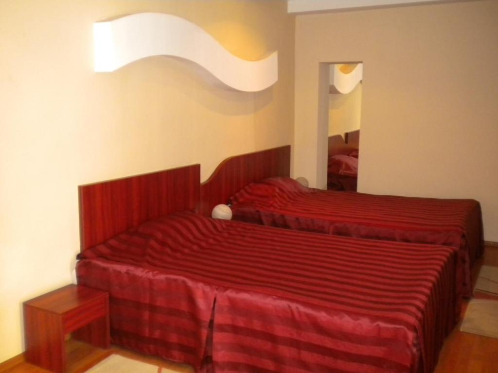 Двухместный (Двухместный номер с 2 отдельными кроватями) отеля Hotel Ary, Клуж-Напока