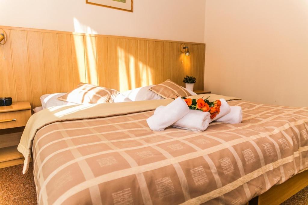 Двухместный (Двухместный номер с 1 кроватью или 2 отдельными кроватями) отеля Horsky Hotel Mnich, Липтовски-Микулаш