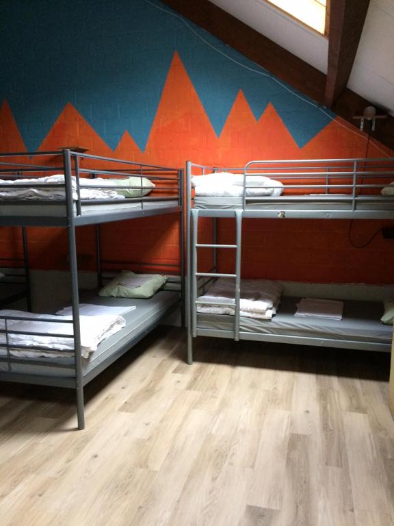 Номер (Спальное место в общем номере для мужчин и женщин с 12 кроватями) хостела Treck Hostel, Гент