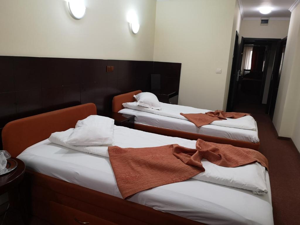 Двухместный (Двухместный номер бизнес-класса с 2 отдельными кроватями) отеля Hotel Helin Aeroport - Craiova, Крайова
