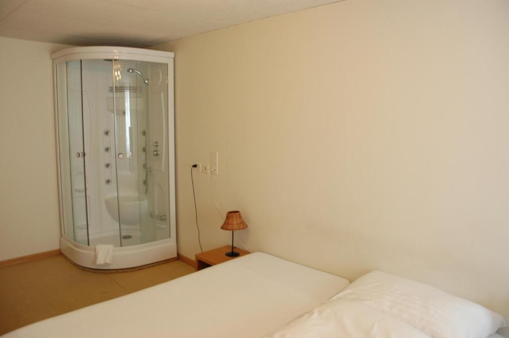 Двухместный (Двухместный номер с 1 кроватью и общим туалетом) отеля Hotel Weisses Kreuz, Санкт-Галлен
