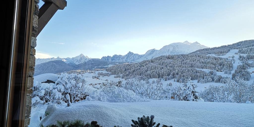 Двухместный (Двухместный номер с 1 кроватью), Chambres d'Hôtes Eternel Mont-Blanc