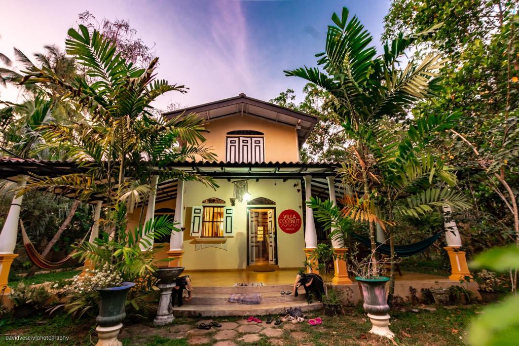 Гостевой дом Coconut villa, Велигама