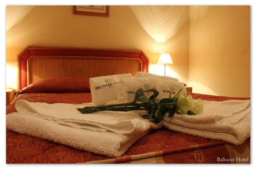 Двухместный (Двухместный номер с 2 отдельными кроватями) отеля Baltazar Hotel, Герес