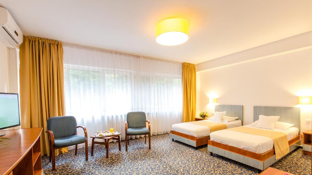 Двухместный (Улучшенный двухместный номер с 1 кроватью или 2 отдельными кроватями, вид на парк) отеля Hotel Herastrau, Бухарест