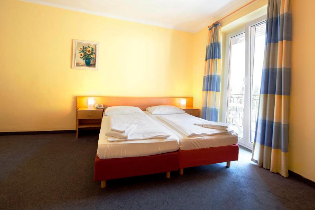 Двухместный (Двухместный номер с 1 кроватью) отеля Euro Youth Hotel & Krone, Бад-Гастайн