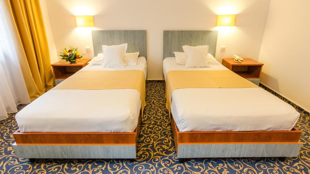 Двухместный (Улучшенный двухместный номер с 1 кроватью или 2 отдельными кроватями) отеля Hotel Herastrau, Бухарест