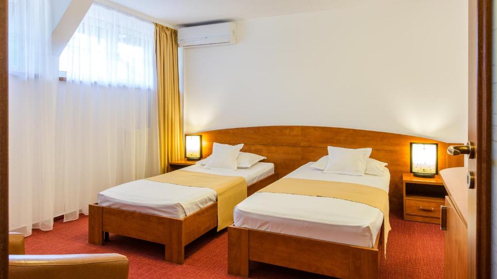 Двухместный (Двухместный номер эконом-класса с 2 отдельными кроватями) отеля Hotel Herastrau, Бухарест